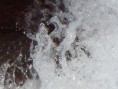 /album/fotogaleria/pantasma-da-fervenza-detalle-jpg/